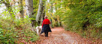 Donna con cane che passeggia nel Bosco della città di Rovereto (foto F. Pernigo)